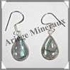 LABRADORITE - Boucles d'Oreilles Argent - Goutte - Hameon - 18x10 mm - W001 Madagascar