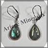 LABRADORITE - Boucles d'Oreilles Argent - Goutte - Dormeuse Ferme - 15x10 mm - W011 Madagascar